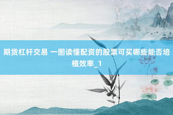 期货杠杆交易 一图读懂配资的股票可买哪些能否培植效率_1